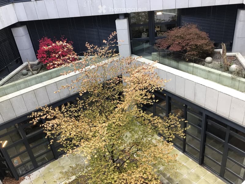 Bureaux modernes de 530 m2 (10)