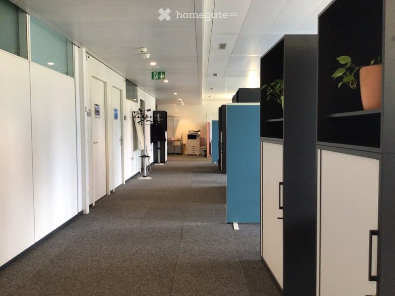 Bureaux modernes de 530 m2 (7)