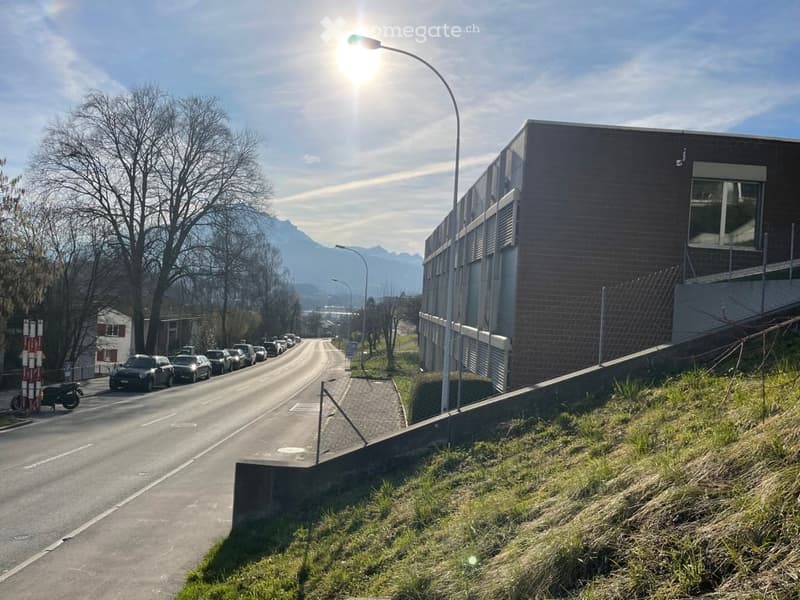 Exterior view of a residential area, buildings, cars parked on the street, road with streetlights, grassy slope with bushes, mountains in the distance.