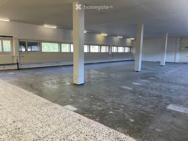Empty room with concrete floor and white walls, large windows, ceiling lights, three supporting columns