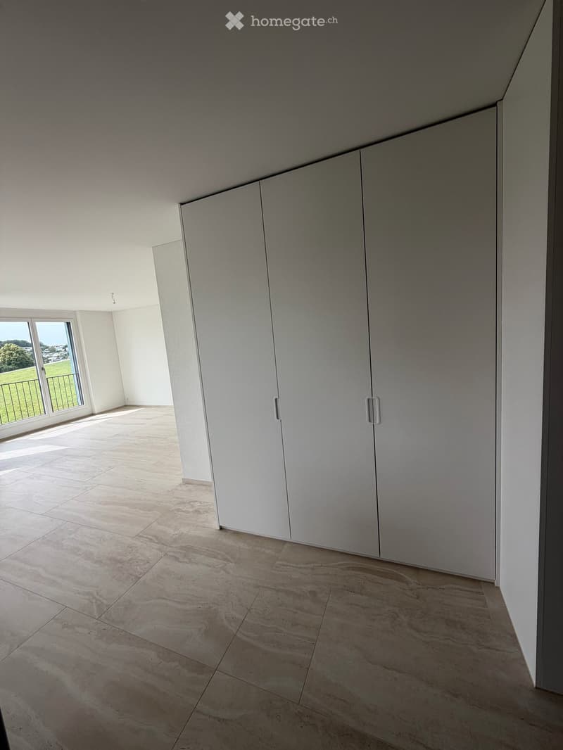 Neue 3.5-Zimmer-Wohnung mit Landschaftsblick in Illnau-Effretikon im Eigentum Ausbau. (14)
