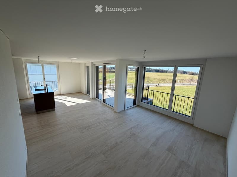 Empty room with large windows, balcony, and a view of a grassy field. The room has a wooden floor and white walls.