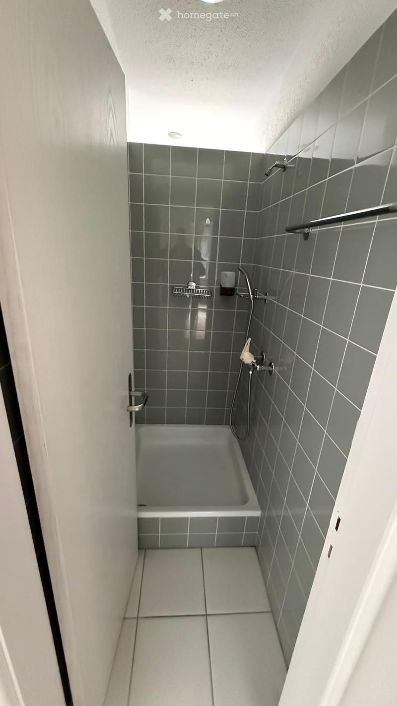 Shower, gray tile walls, white tiled floor, small white bathtub, shower head, towel rack, toilet paper holder