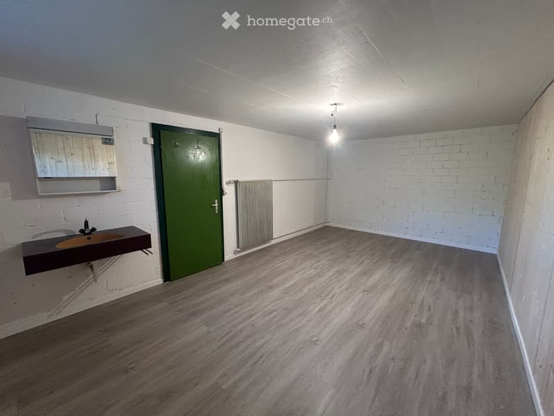 Empty room with wooden flooring, white brick walls, a green door, a sink, and a radiator.