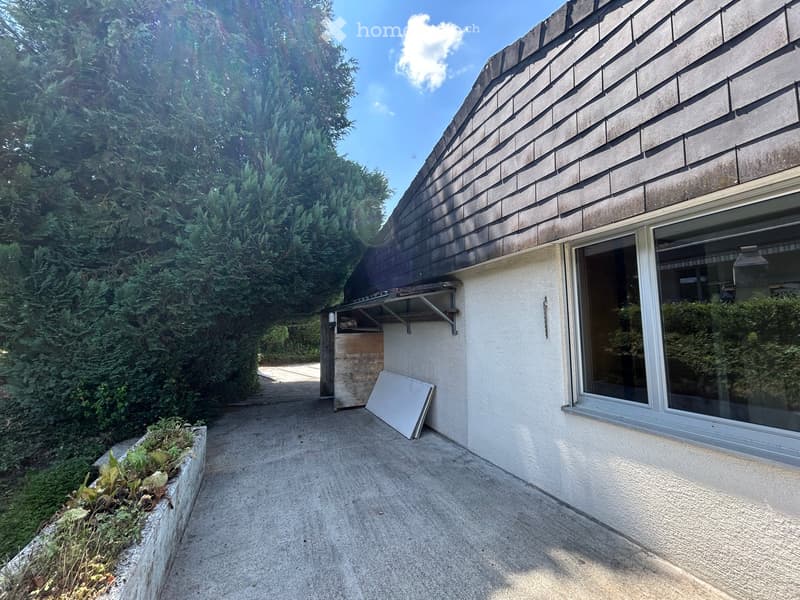 Concrete pathway leading to a house with a slanted roof and large windows, surrounded by greenery and a small garden bed.