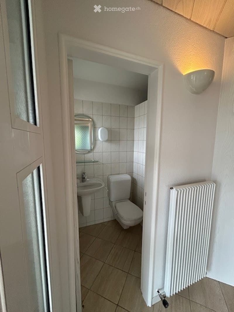 Freistehendes Einfamilienhaus an ruhiger Lage mit grossem Garten und Pool (12)