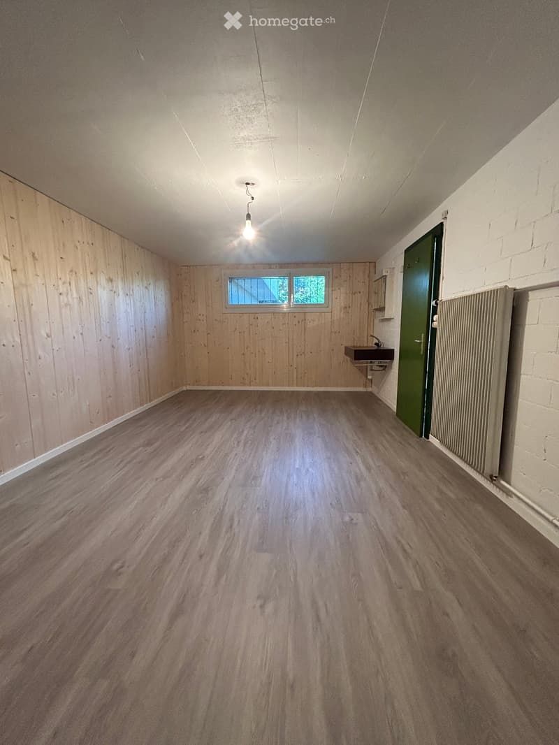 Empty room with wooden walls and flooring, a small window, a sink, and a radiator.
