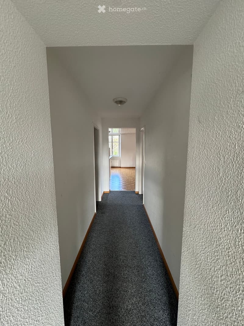 Empty hallway with white walls, gray carpet, and a ceiling light.