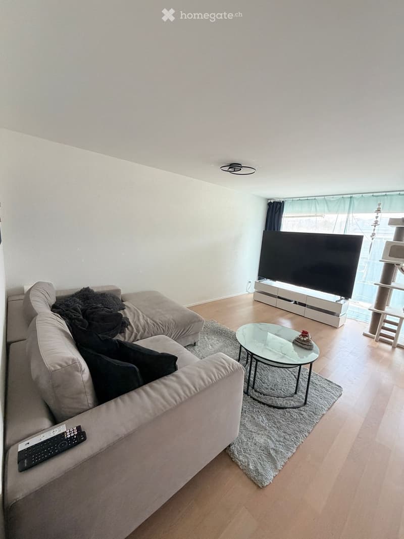 Living room with a large sofa, glass coffee table, TV, and a carpet