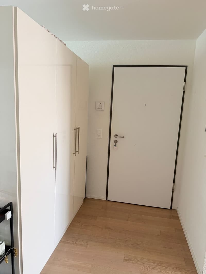 Empty room with white walls, wooden floor, large white wardrobe, white door with silver handle and black trim
