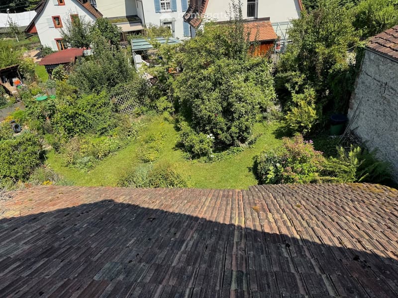 A lush garden with a wooden deck, surrounded by trees, shrubs, and neighboring houses with red-tiled roofs and white walls.