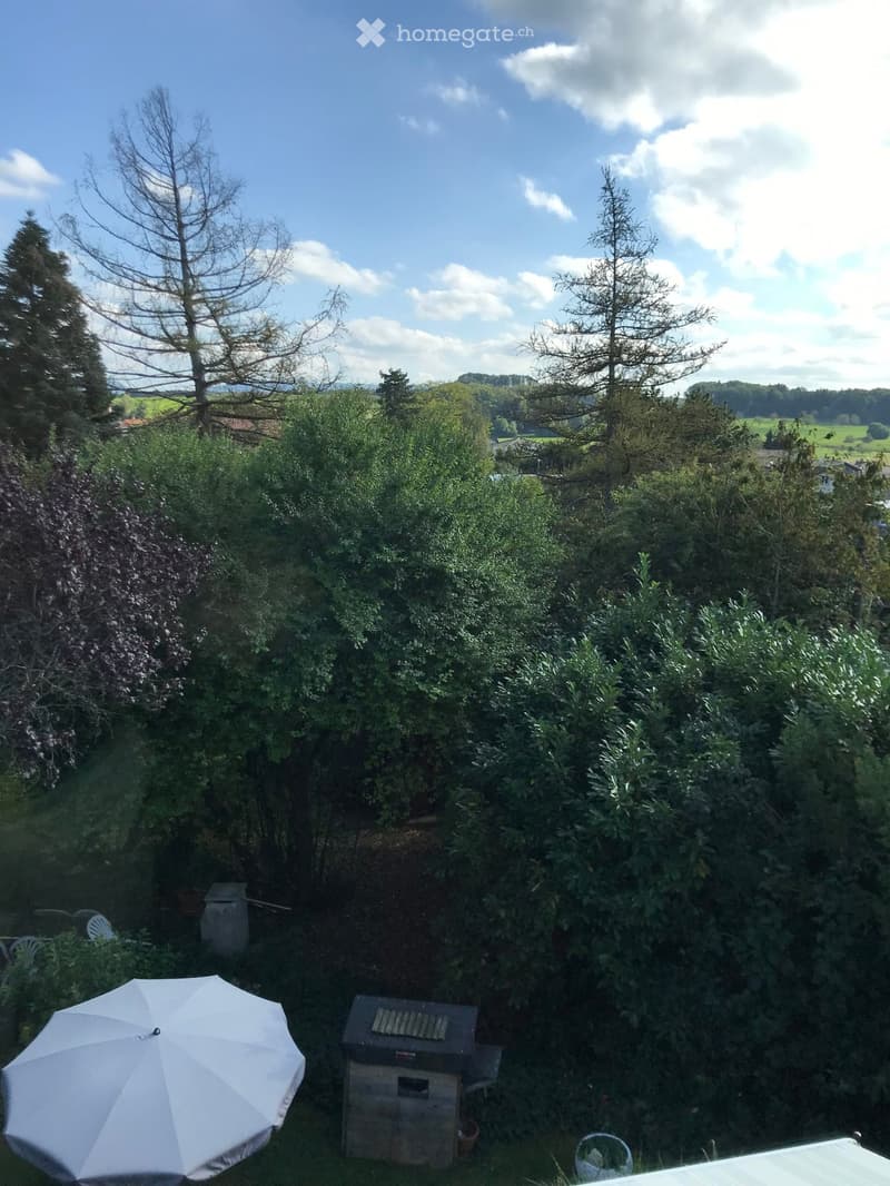 Charmante 3.5-Zimmer-Wohnung mit Balkon und Gartensitzplatz  in traumhafter Umgebungin Gempen (13)