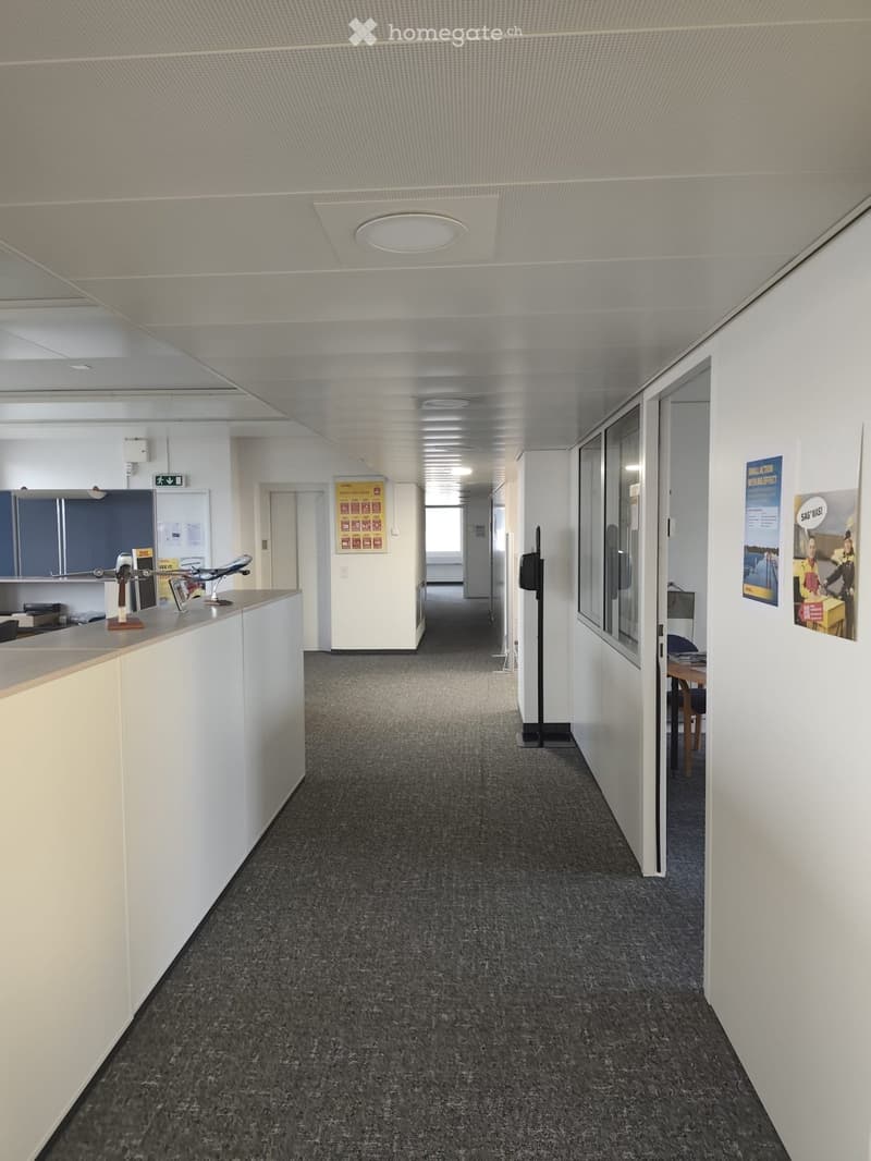 empty office hallway, white walls, grey carpeting, white ceiling, office furniture, posters on wall