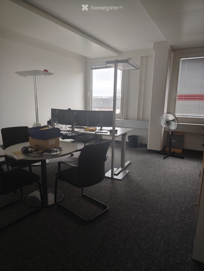 Desk, Chairs, monitors, lamp, fan, waste bin