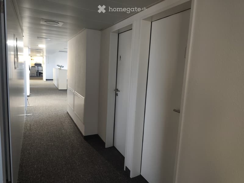 carpeted hallway, white walls, ceiling, doors, white flooring, no visible rooms