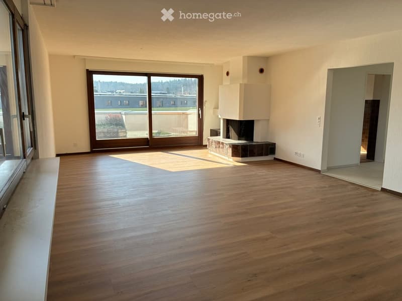 large room, wooden floor, fireplace, sliding glass doors, balcony, large windows