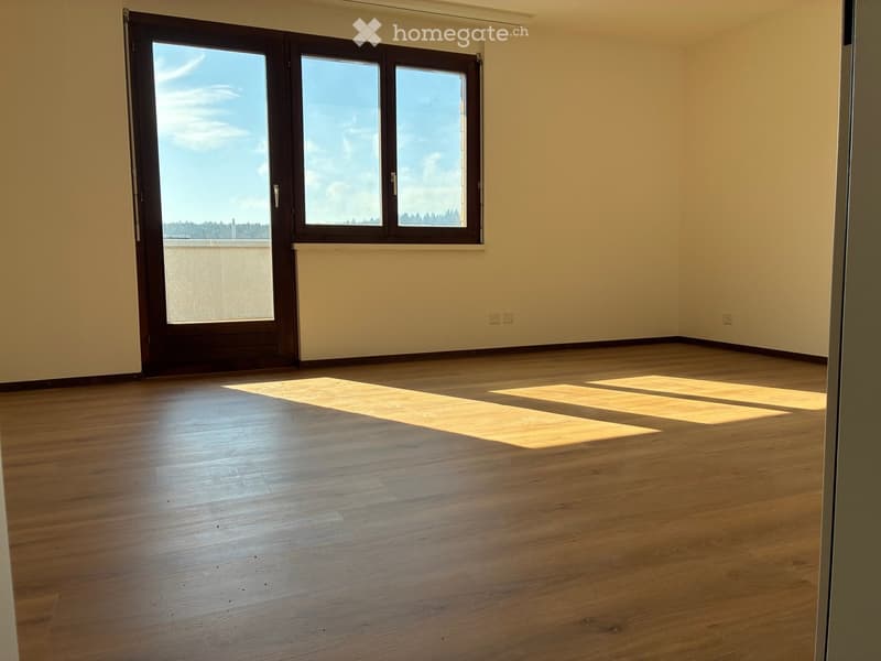 empty room, wooden floor, large windows, balcony, view of the outside