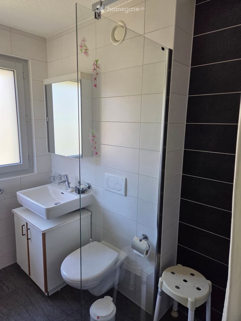 Bathroom. Modern bathroom with white tiles, a sink with a faucet, a toilet, a glass shower enclosure, a mirror, a small stool, and a trash bin.