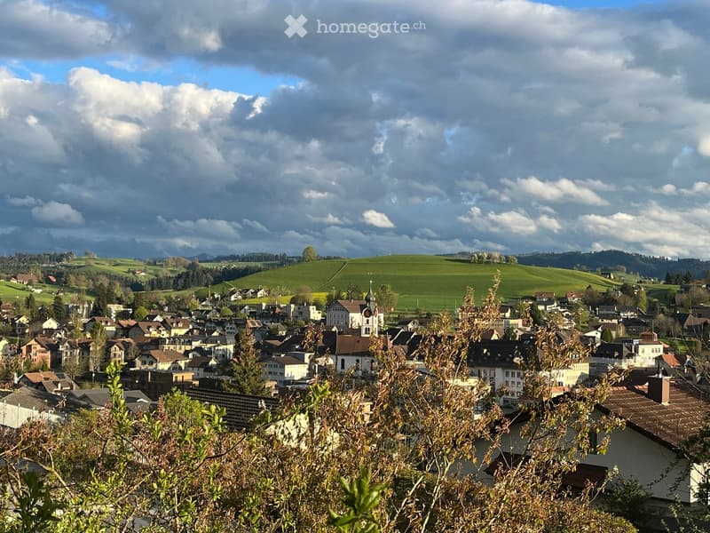 Aerial view of a town with many buildings, a green hill in the background, and a cloudy sky.
