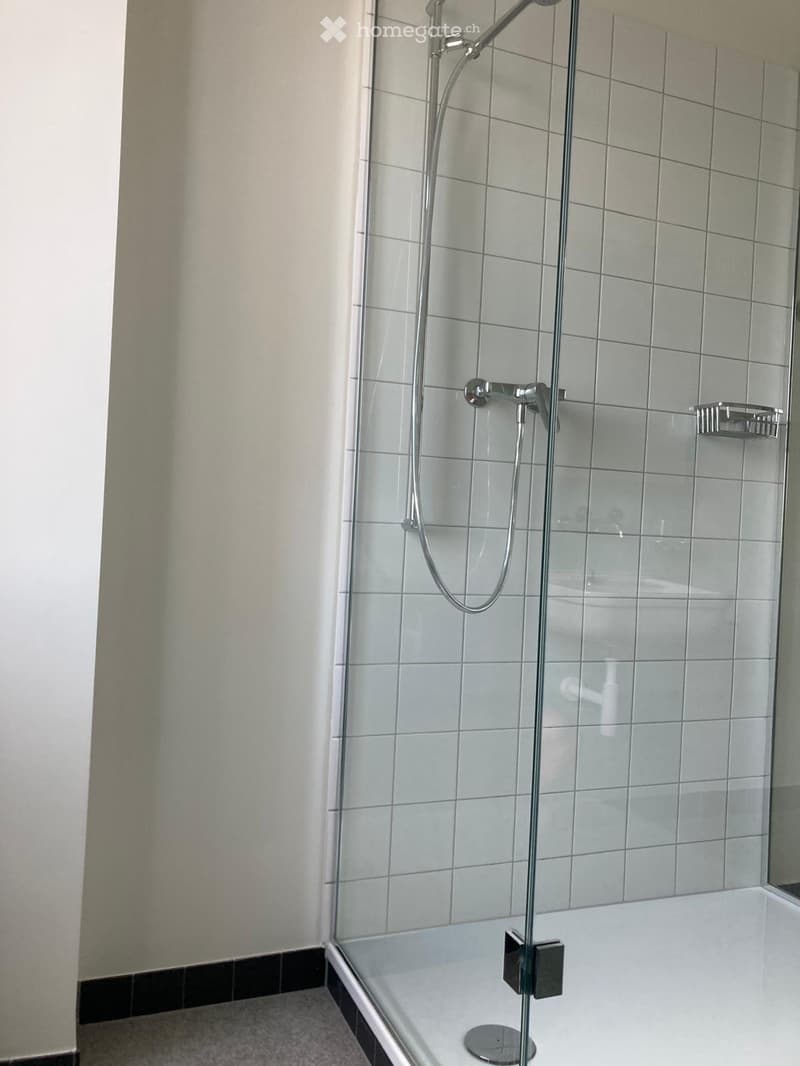 Modern bathroom with a glass-enclosed shower area, tiled walls, and a sleek chrome showerhead and controls.