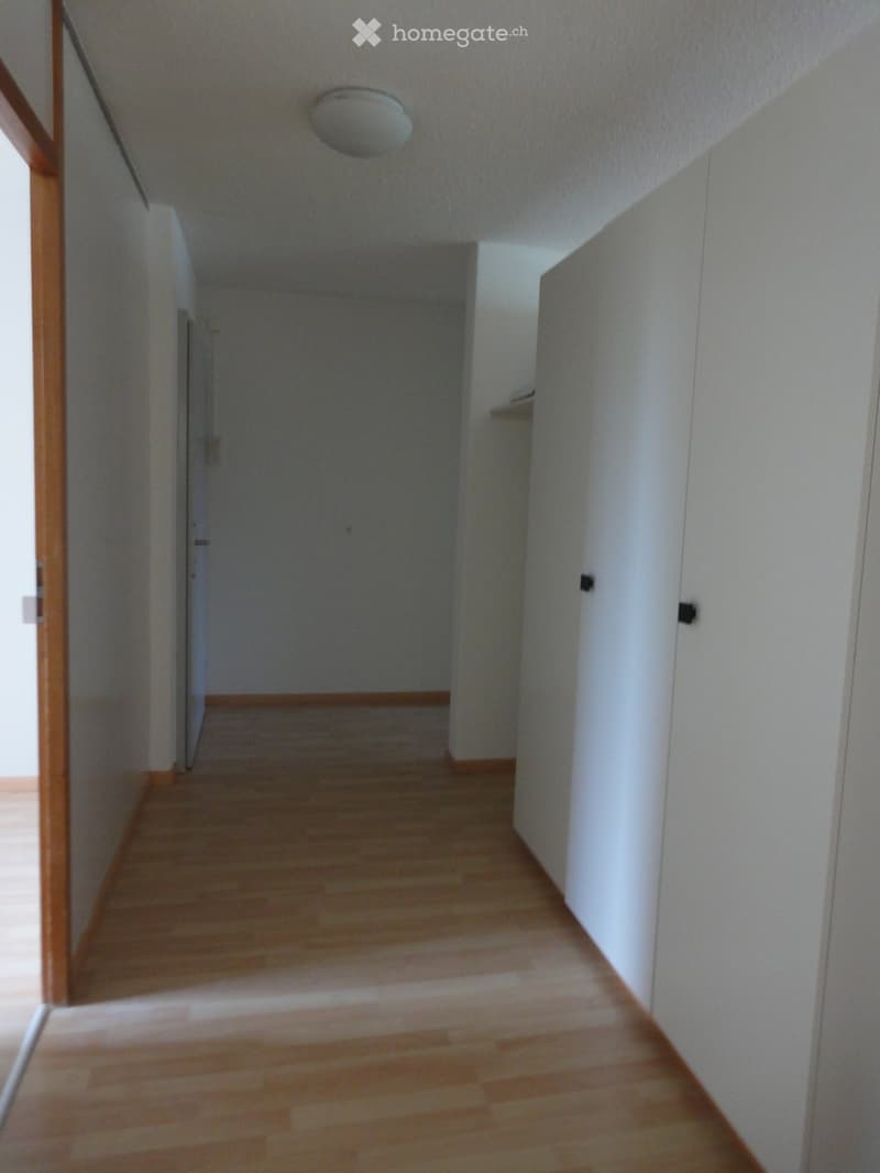 Corridor / Hallway. Empty hallway with wooden flooring, white walls, and a ceiling light fixture.