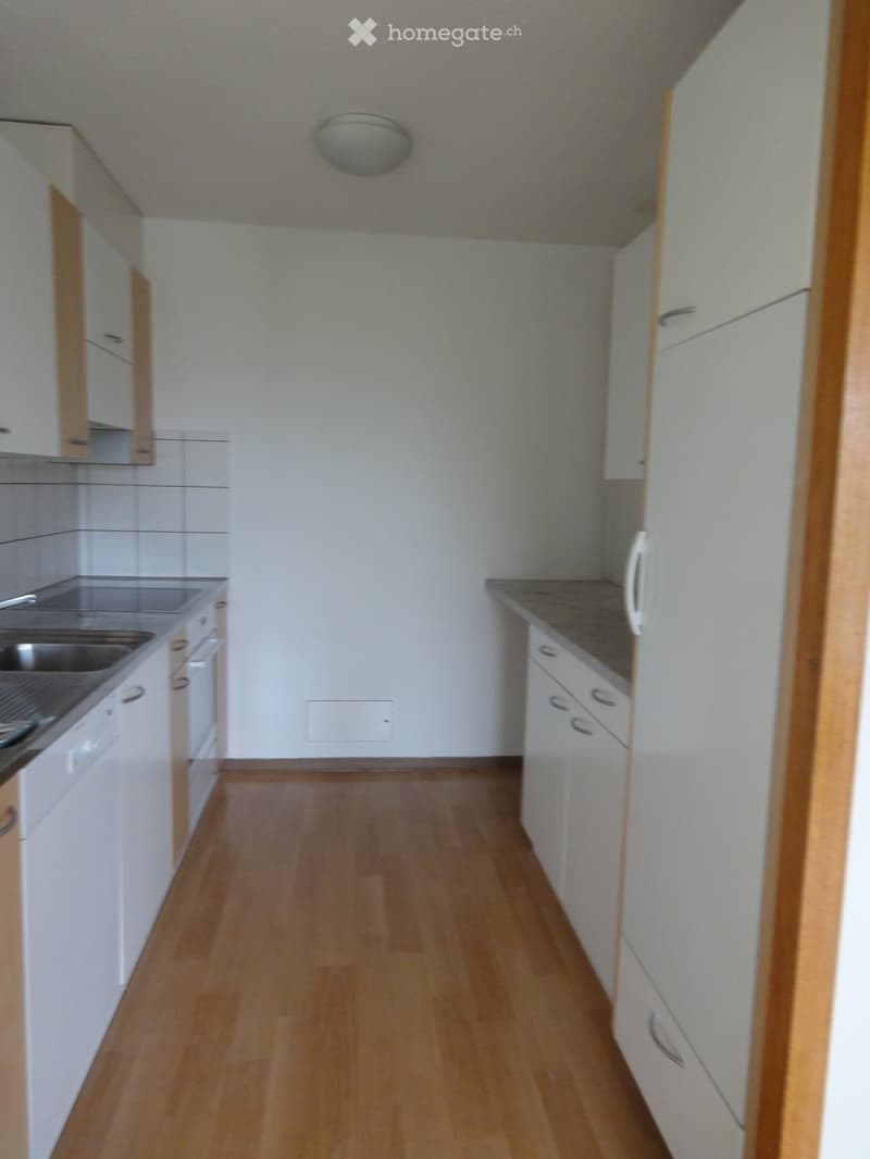 Unfurnished Room. Empty kitchen with white cabinets, wooden flooring, and stainless steel sink. No appliances or furniture present.