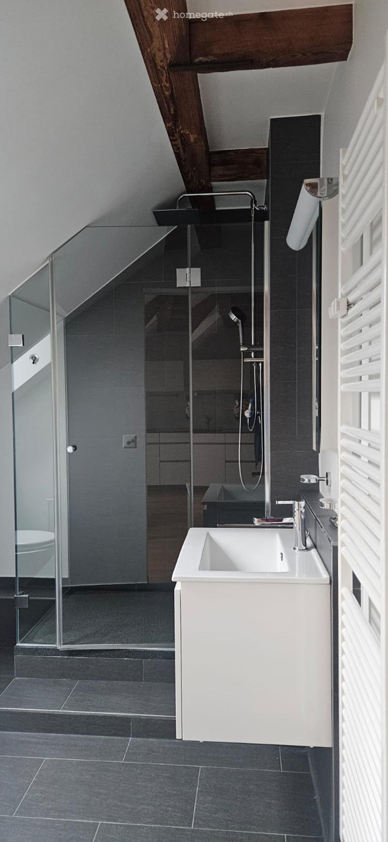 Modern bathroom with a white sink, sleek faucet, glass-enclosed shower, and exposed wooden beams on the ceiling.