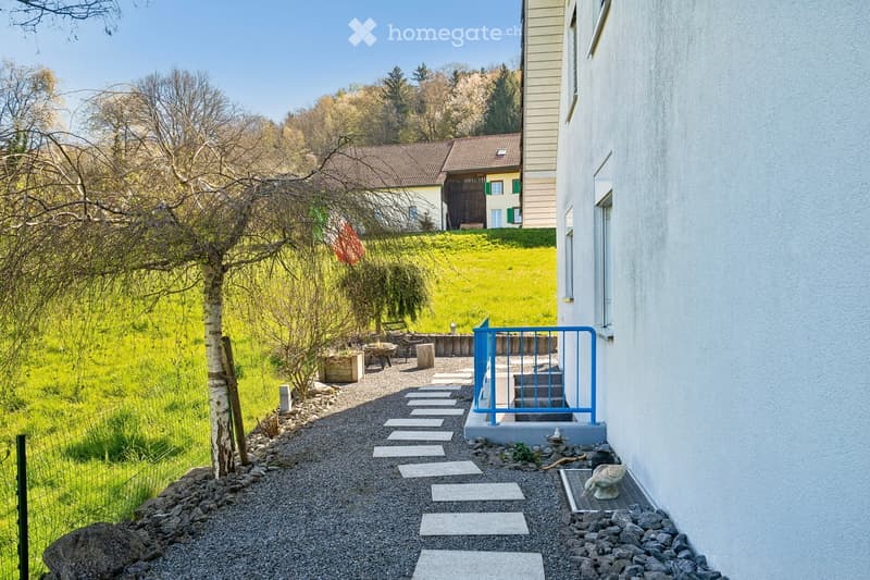 A gravel pathway leads to a house entrance with a blue railing and steps. The pathway is bordered by rocks and grass. In the background, there is a grassy field with a tree and a flag. The house has a white wall and a window with green shutters.
