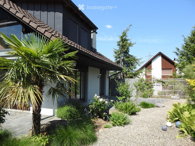 Modern house with a well-maintained garden featuring a palm tree, shrubs, and decorative stones.