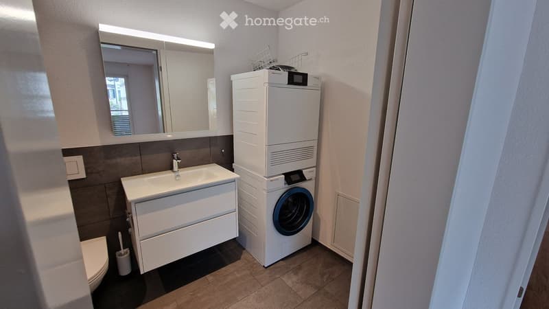 Modern bathroom with a white sink, mirror, toilet, and stacked washing machine and dishwasher unit.
