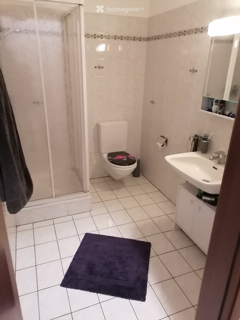Wohnung / Ferienwohnung in Moghegno (5)