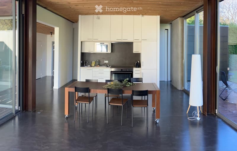 Maison contemporaine (4)