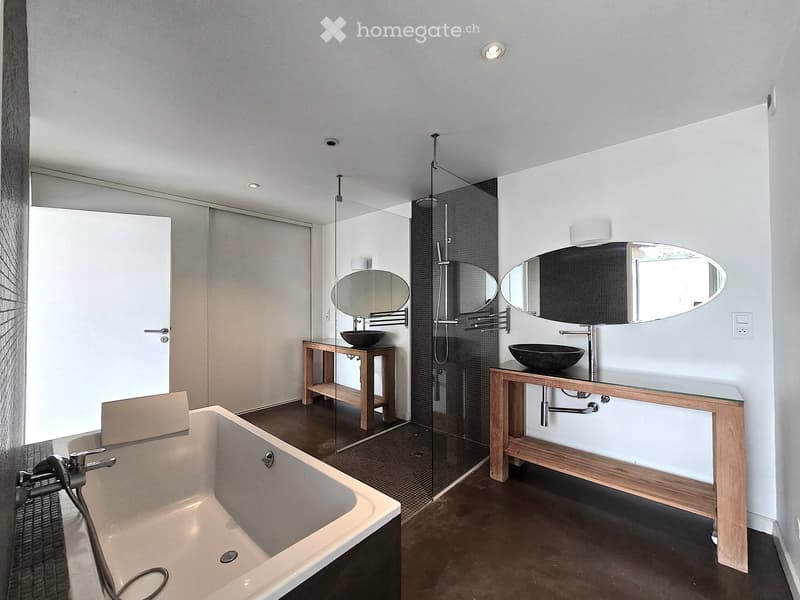 Maison contemporaine (9)