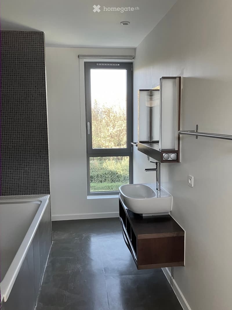 Maison contemporaine (12)