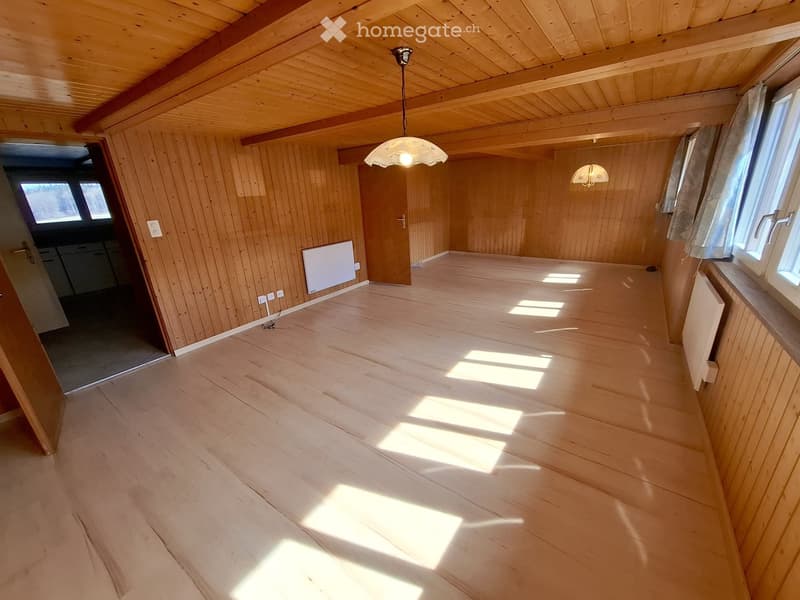 Unfurnished Room. Empty room with wooden walls and floor, large windows, and a hanging light fixture. No furniture or equipment present.