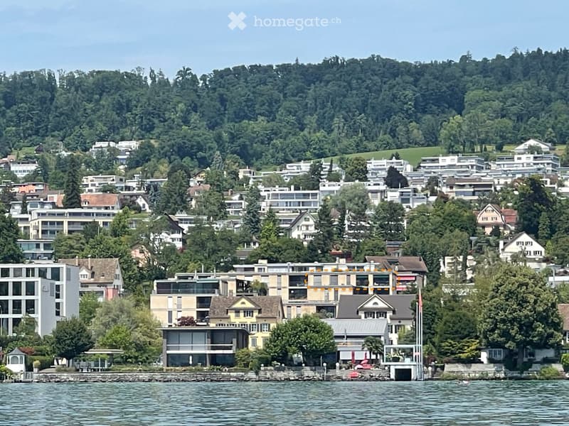 A scenic view of a lakeside town with numerous residential buildings, surrounded by lush green trees and a clear blue lake in the foreground.