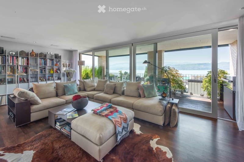large sofa, glass door, balcony, large windows, wooden floor, rug