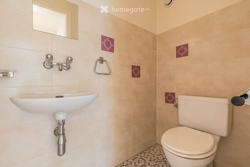Modern bathroom with beige tiles, a white sink with chrome faucet, a toilet, a mirror, and a towel ring.