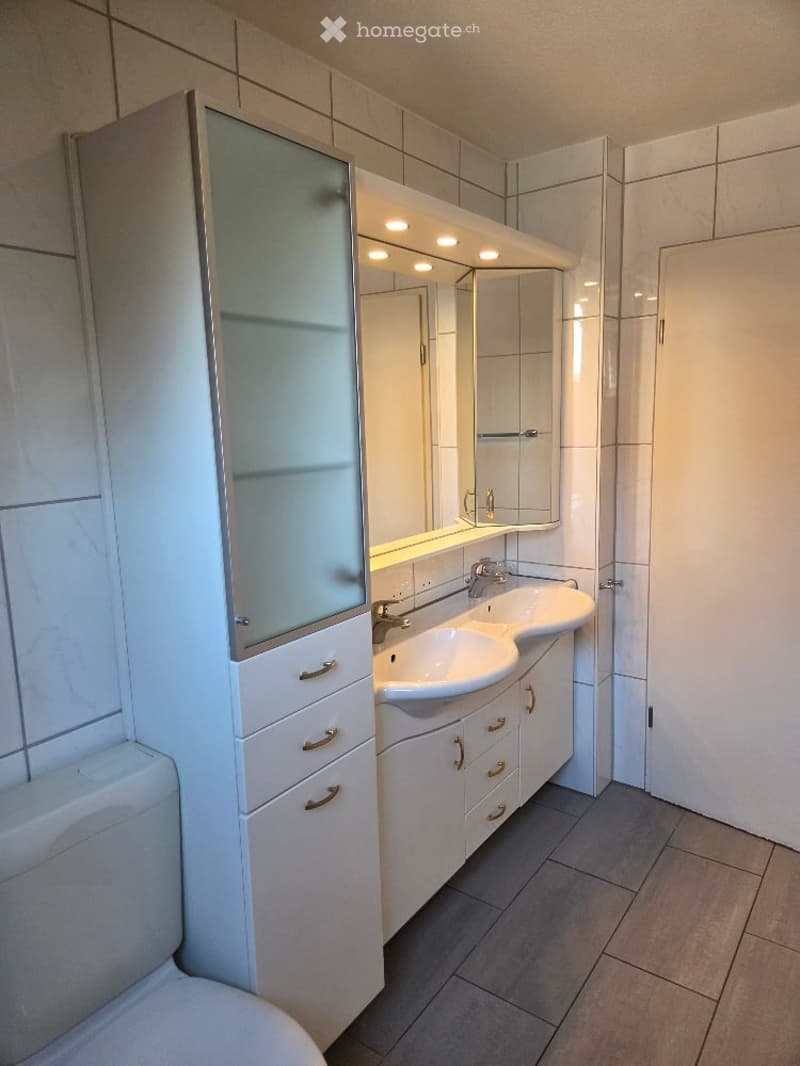Bathroom with tiled walls, white sink, mirror, modern bathroom cabinet, toilet.
