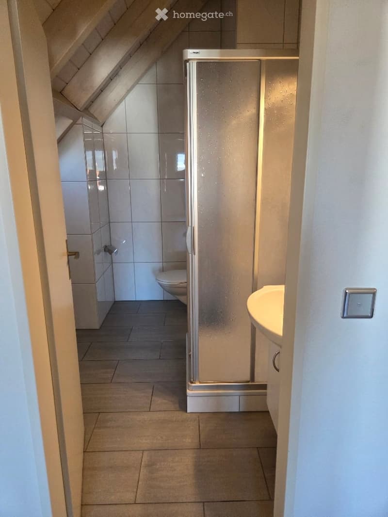 Tilted ceiling, wooden floor, white tiled walls, shower, sink, toilet
