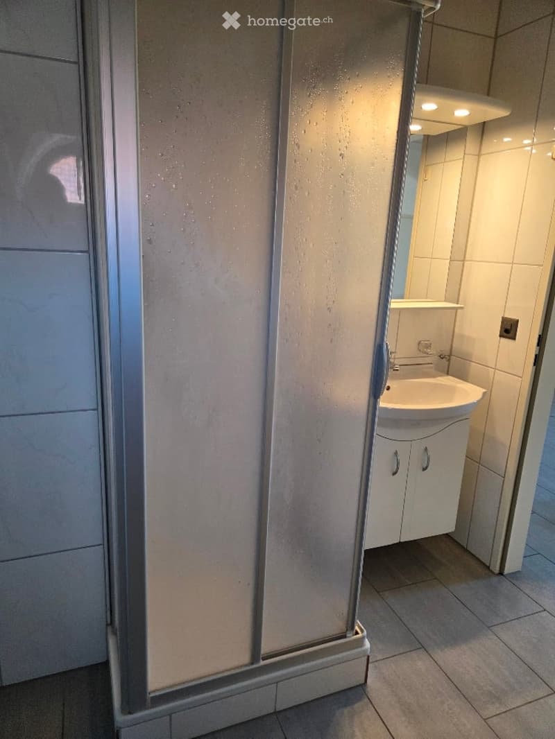 white shower stall, white sink, mirror, wooden floor