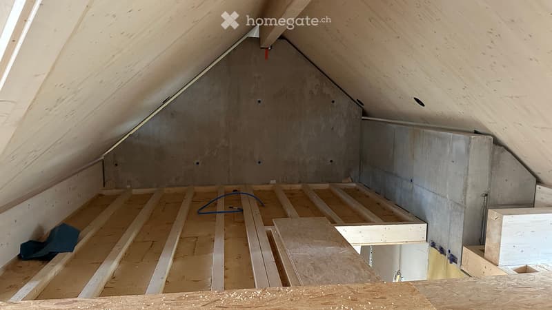 Aussergewöhnliche 5.5 bis 6.5 Zimmer-Maisonette-Wohnung mit Rheinblick - Neubau 2026 (11)