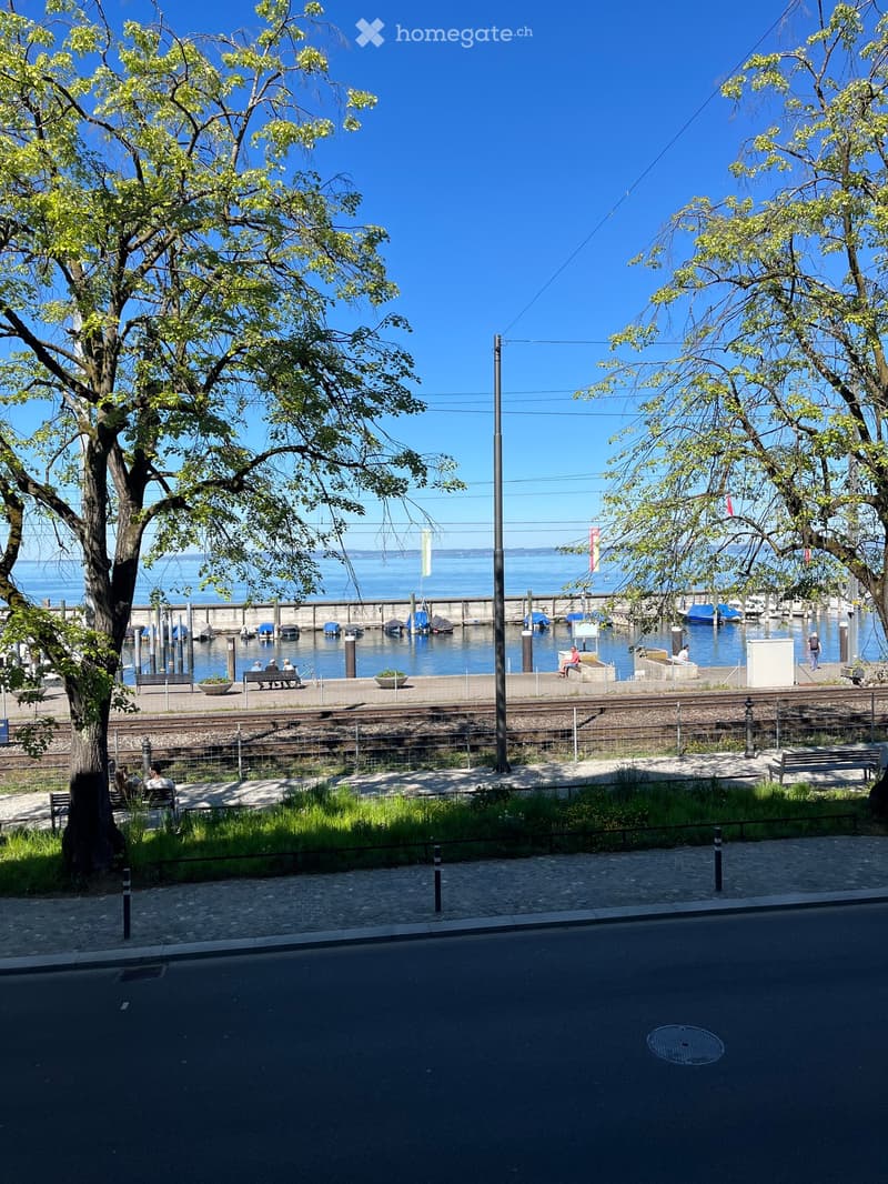 Garden / Outdoor Area. A waterfront park area with benches, trees, and a view of the water with docked boats.