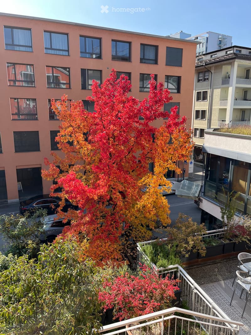 Garden / Outdoor Area. Balcony with a colorful tree, small plants, and outdoor furniture, overlooking a building with multiple windows and a parked car.