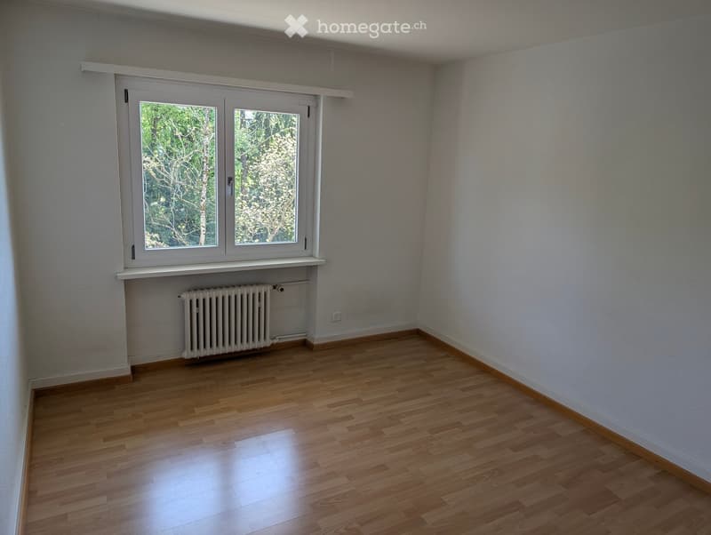 empty room, white walls, wooden floor, window with white frame, white radiator