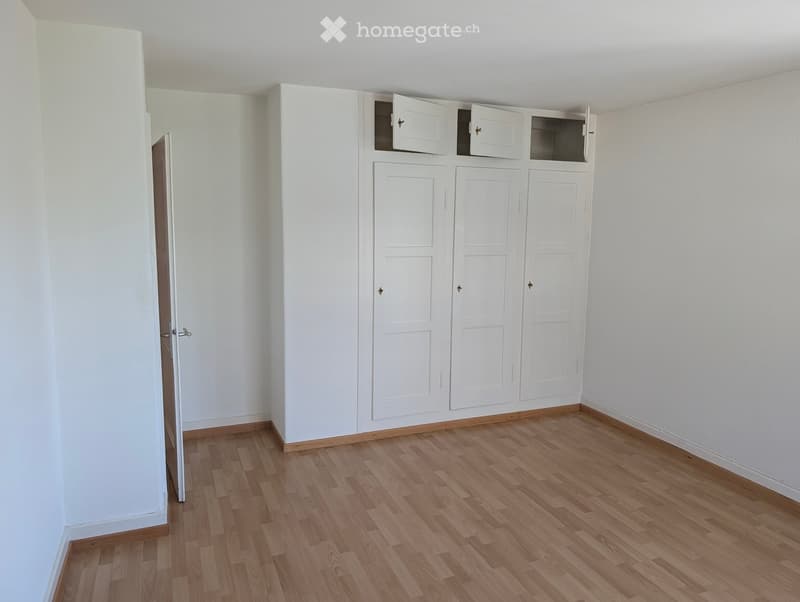 empty room, white walls, wooden floor, large white wardrobe