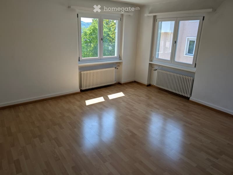 empty room, wooden floor, white walls, two windows, radiators