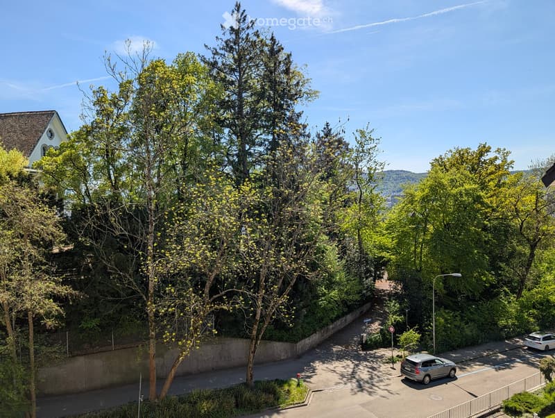 Trees, plants, road, cars, mountains in the distance