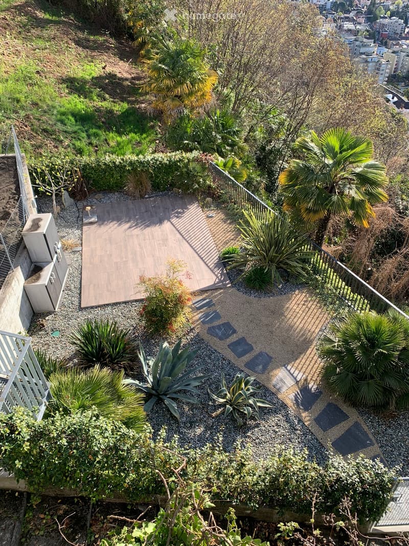 deck, garden, gravel and stone paths, palm trees, plants, shrubs