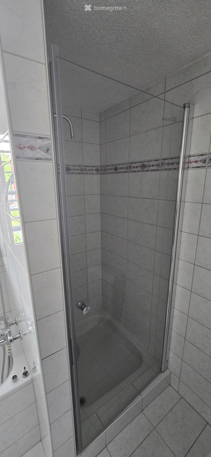 Bathroom. Modern bathroom with a glass-enclosed shower stall, tiled walls, and a bathtub with a chrome faucet.